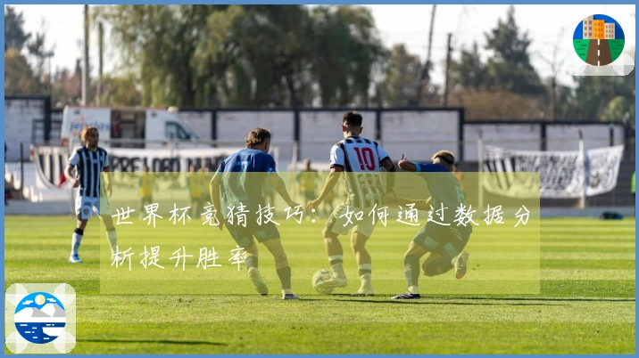 世界杯竞猜技巧：如何通过数据分析提升胜率