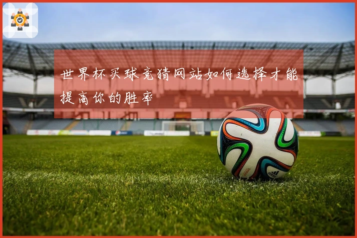 世界杯买球竞猜网站如何选择才能提高你的胜率