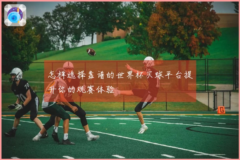 怎样选择靠谱的世界杯买球平台提升你的观赛体验