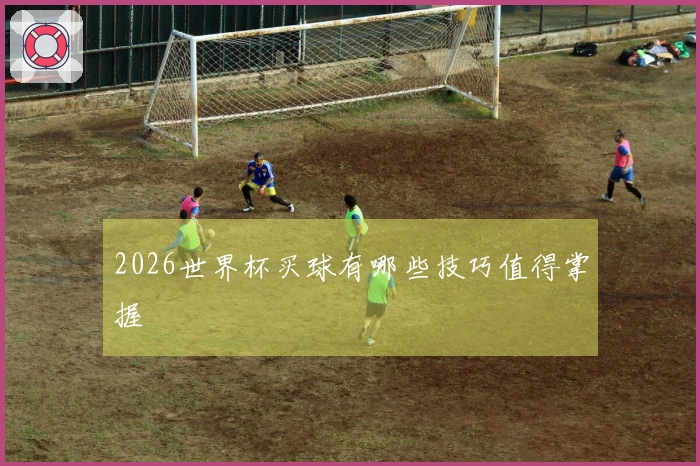 2026世界杯买球有哪些技巧值得掌握